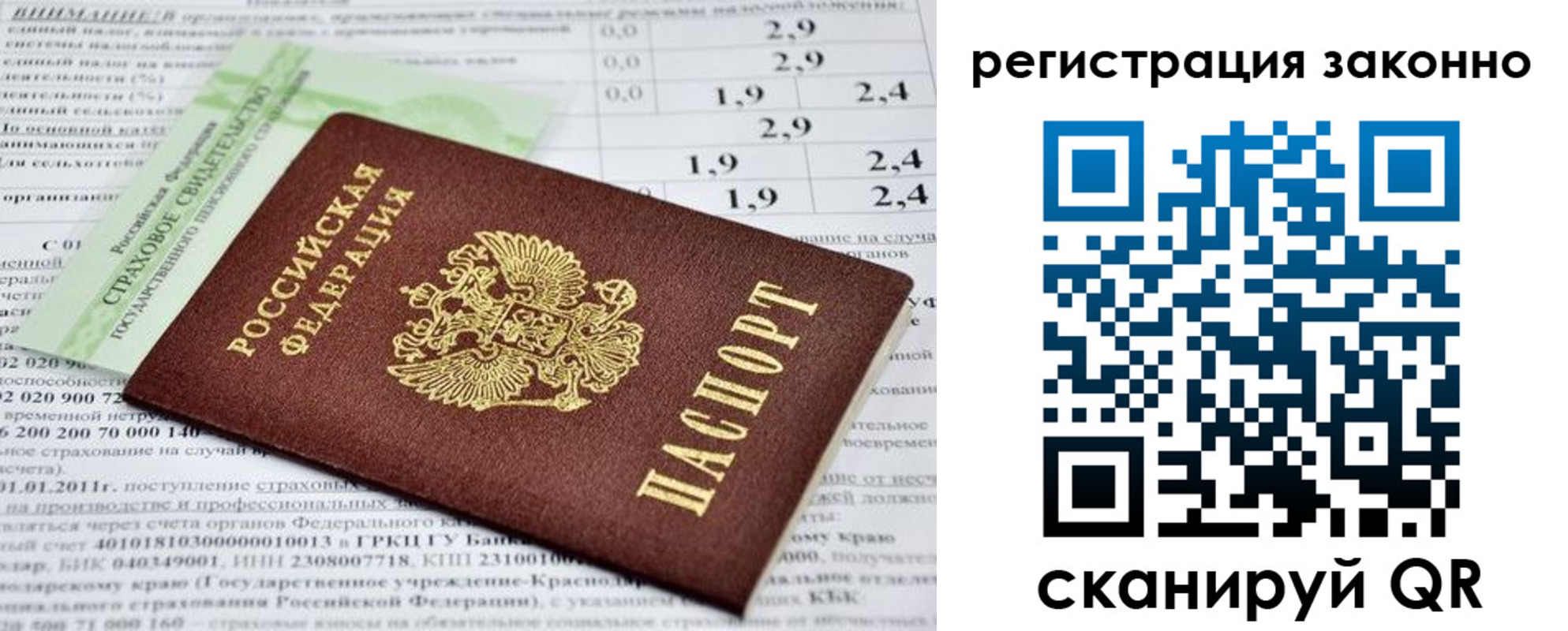 прописка поиск в Мамадыше